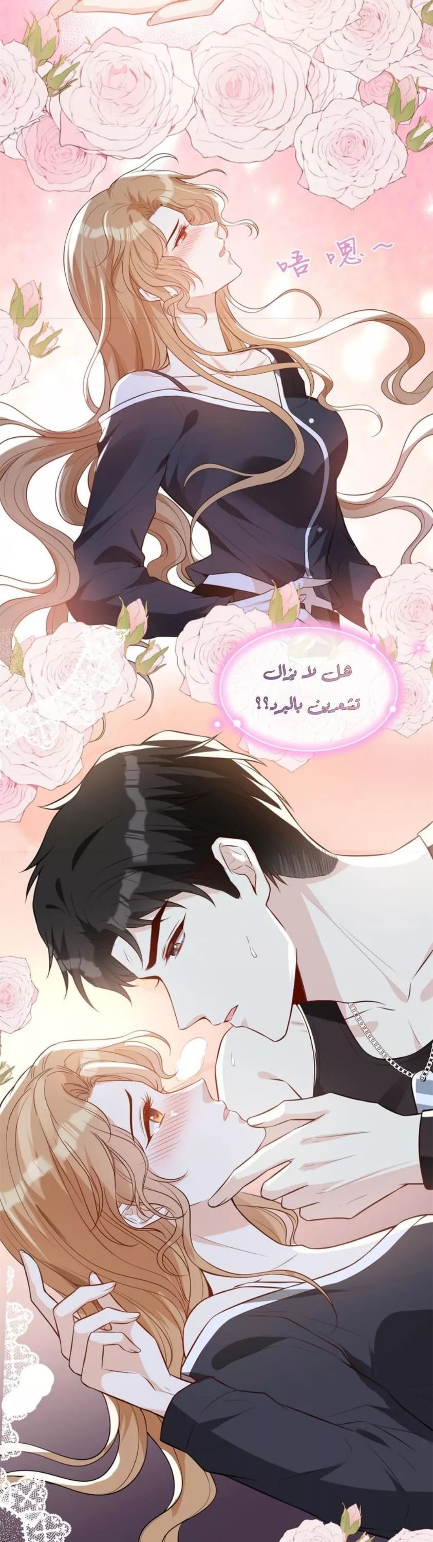 الصفحة 7