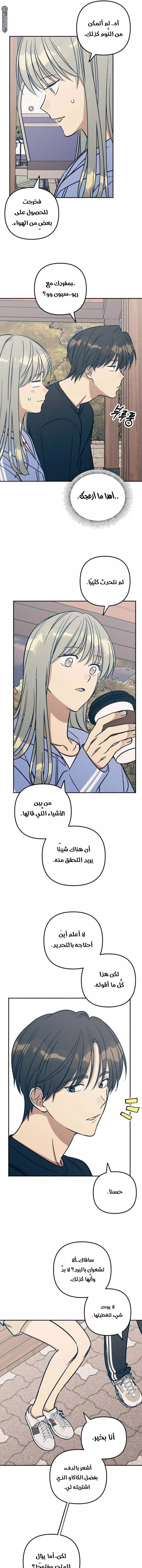 الصفحة 13