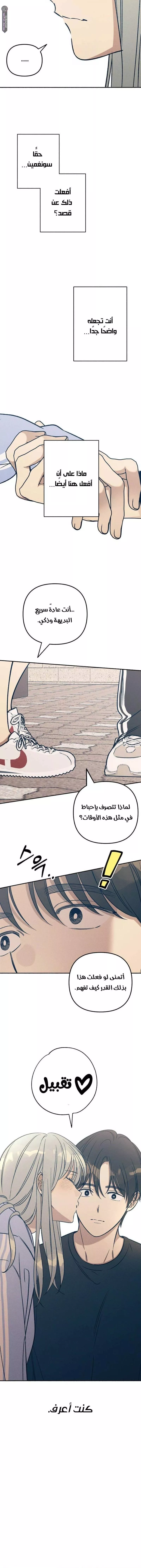 الصفحة 16