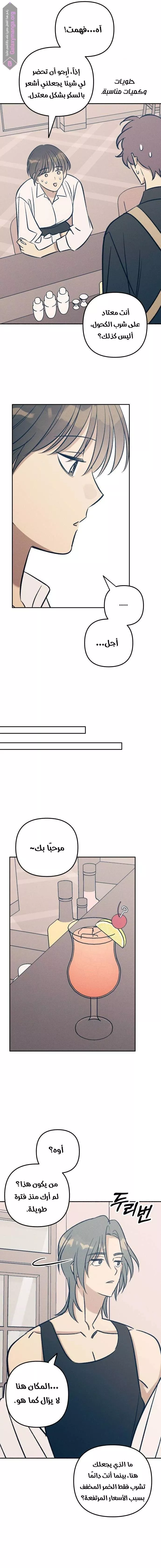 الصفحة 13