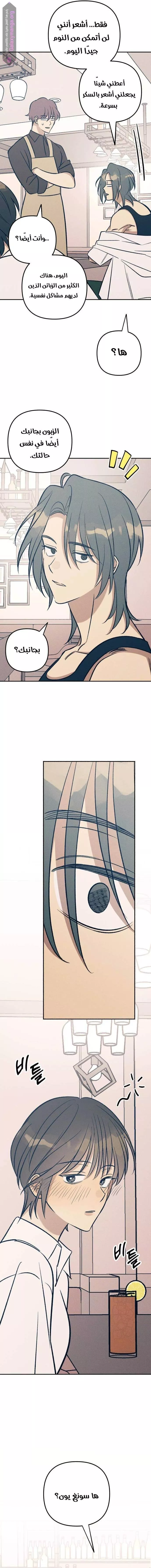 الصفحة 14