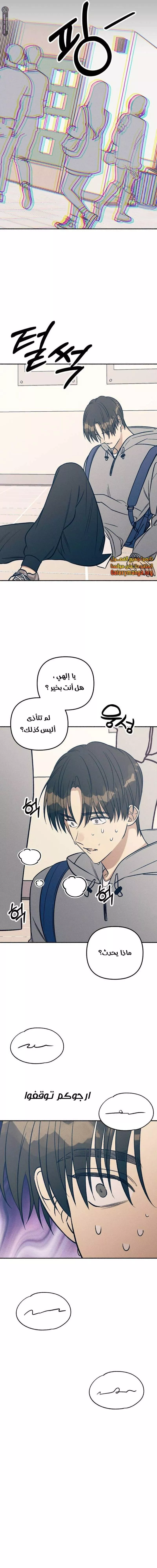 الصفحة 8