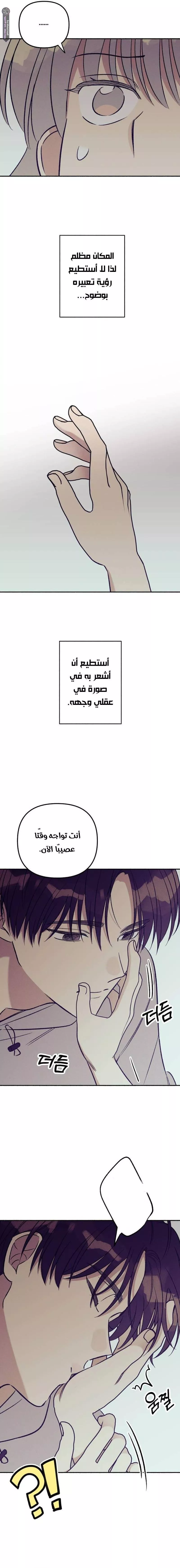 الصفحة 13