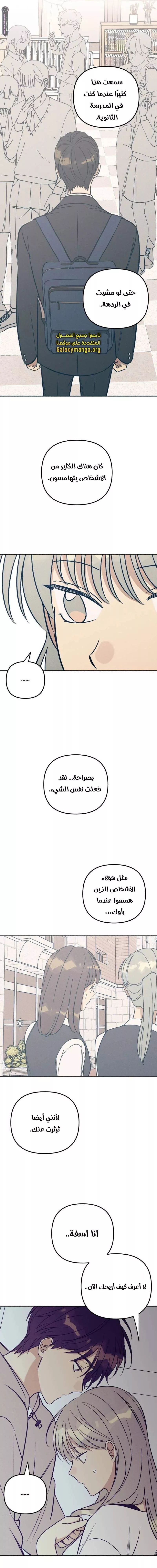 الصفحة 17