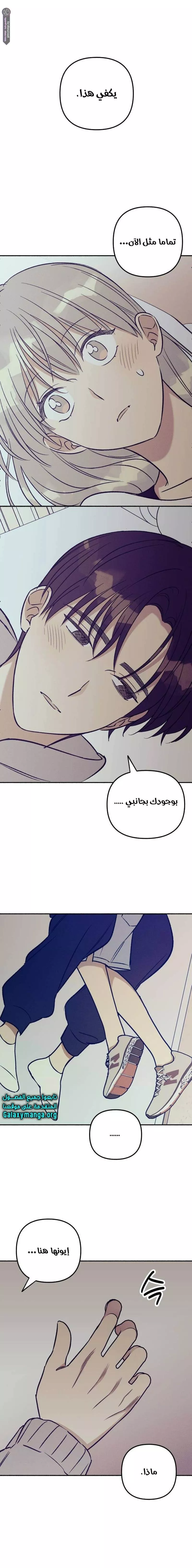 الصفحة 18