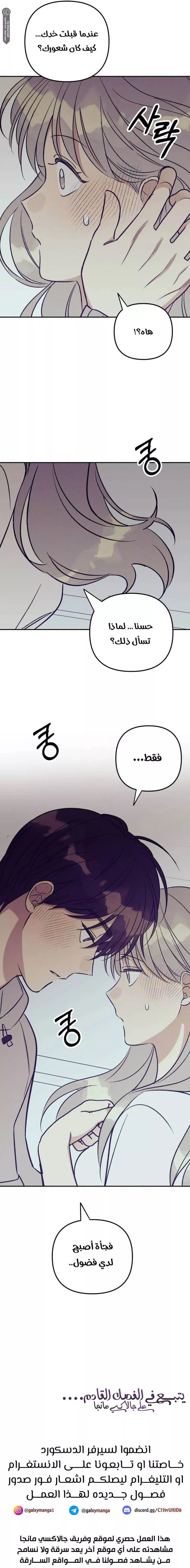 الصفحة 19