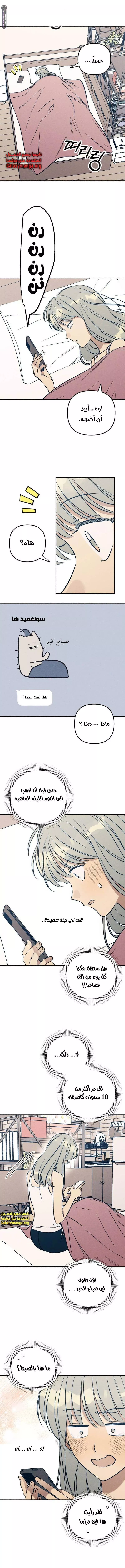 الصفحة 10