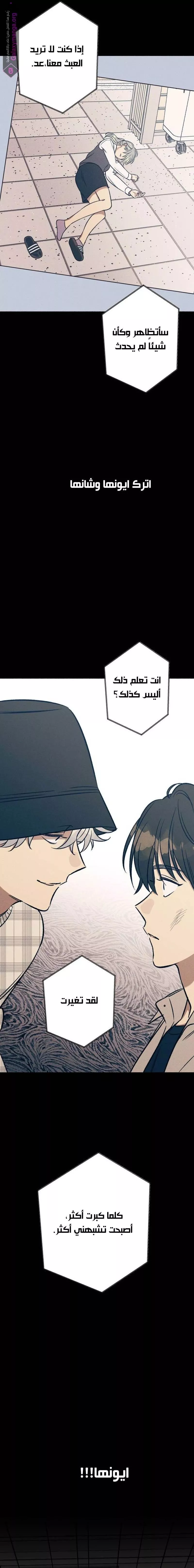 الصفحة 13