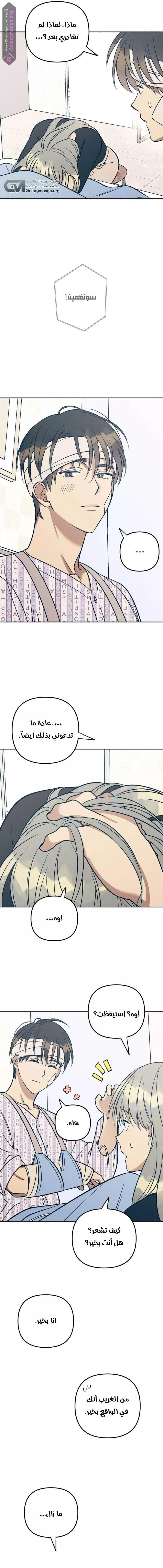 الصفحة 15