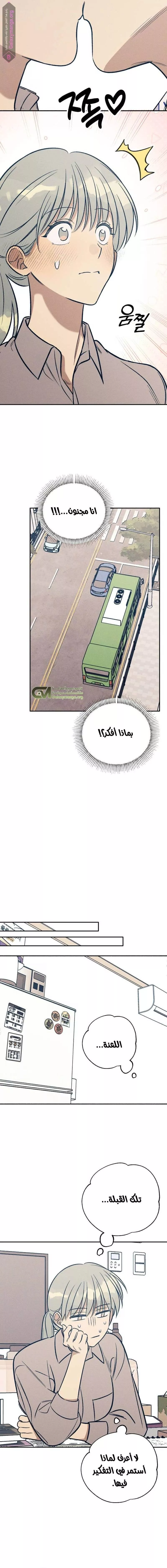 الصفحة 13