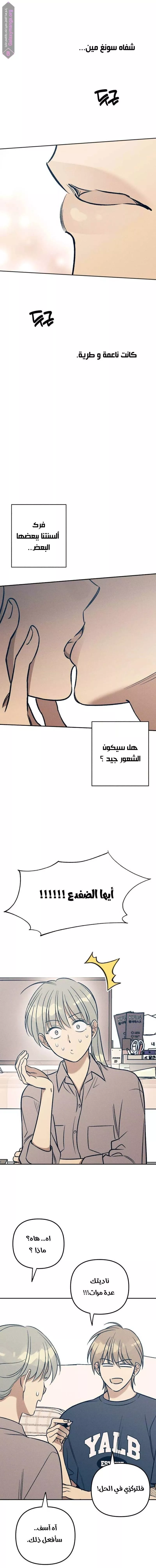 الصفحة 15