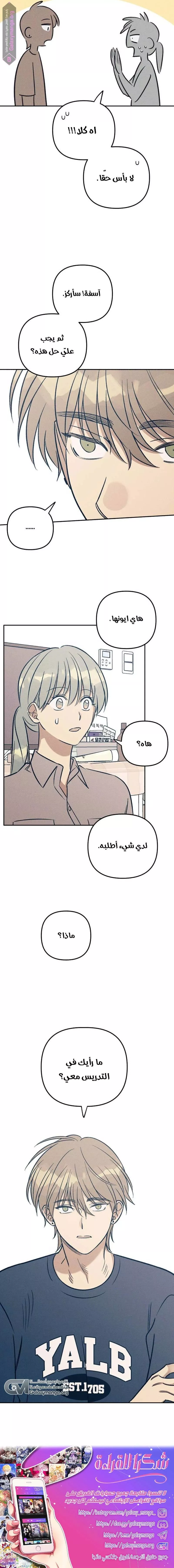 الصفحة 17