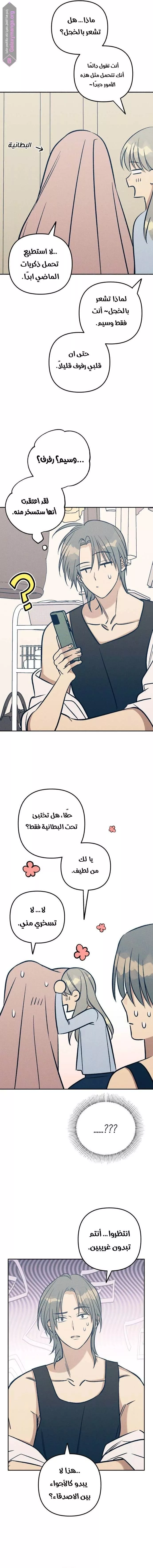 الصفحة 11