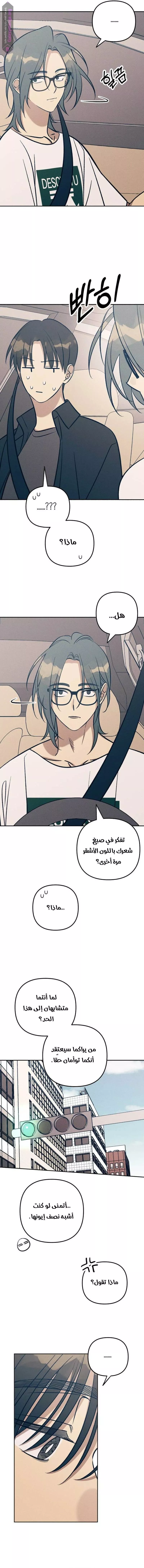 الصفحة 11
