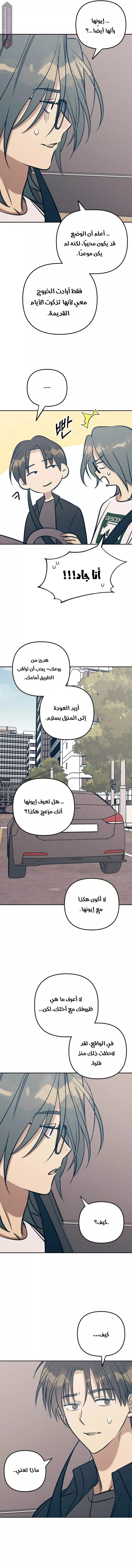 الصفحة 13