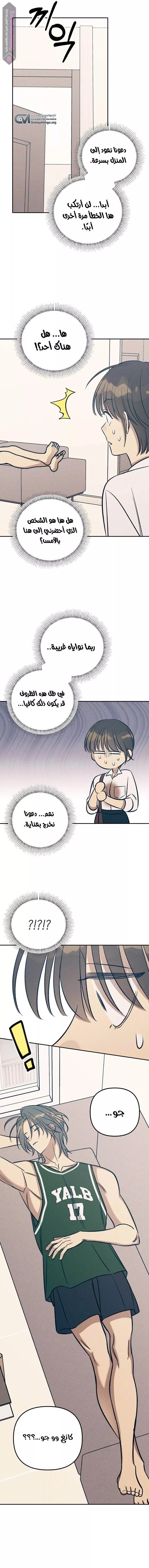 الصفحة 11