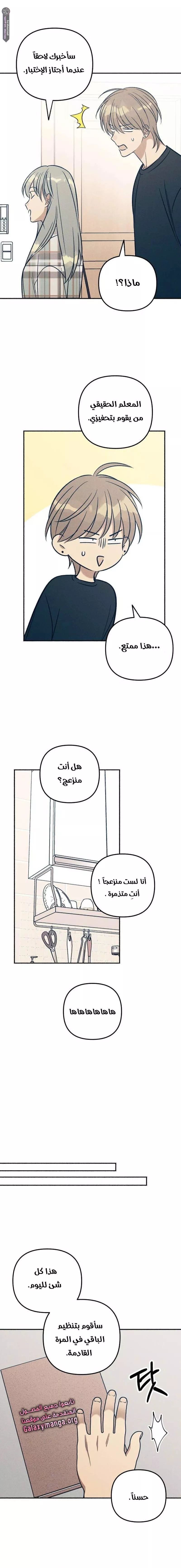 الصفحة 8