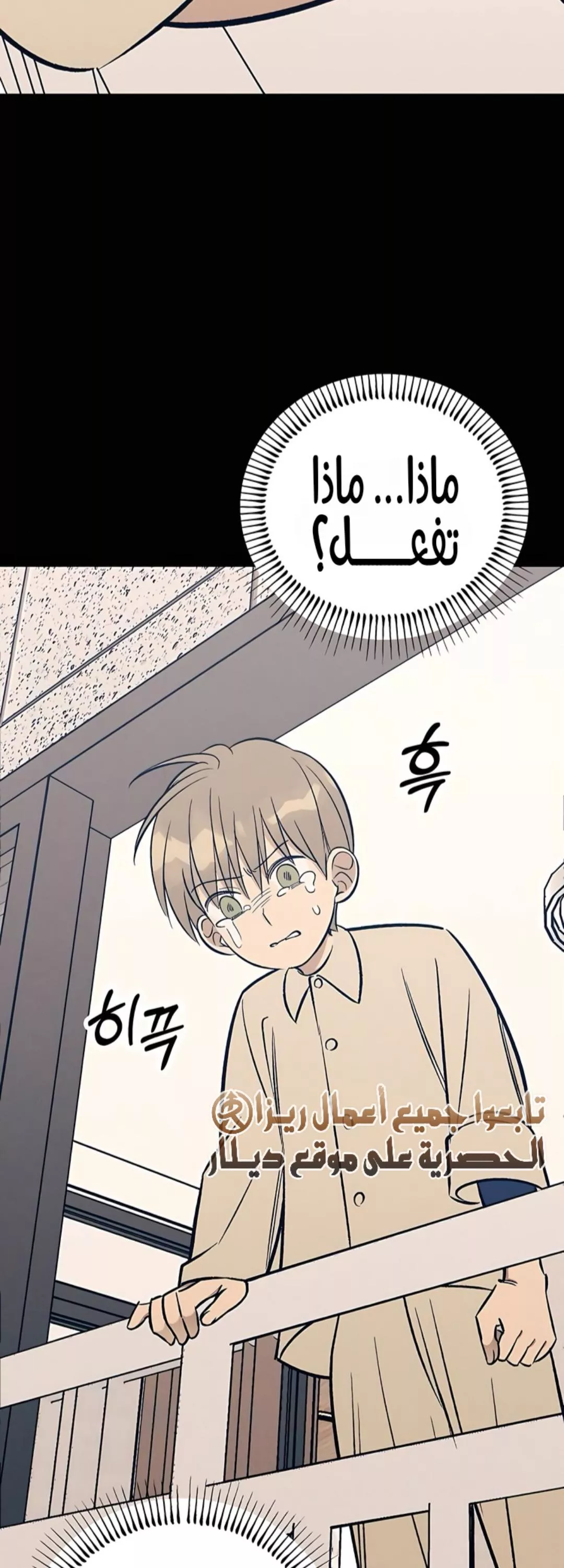 الصفحة 13