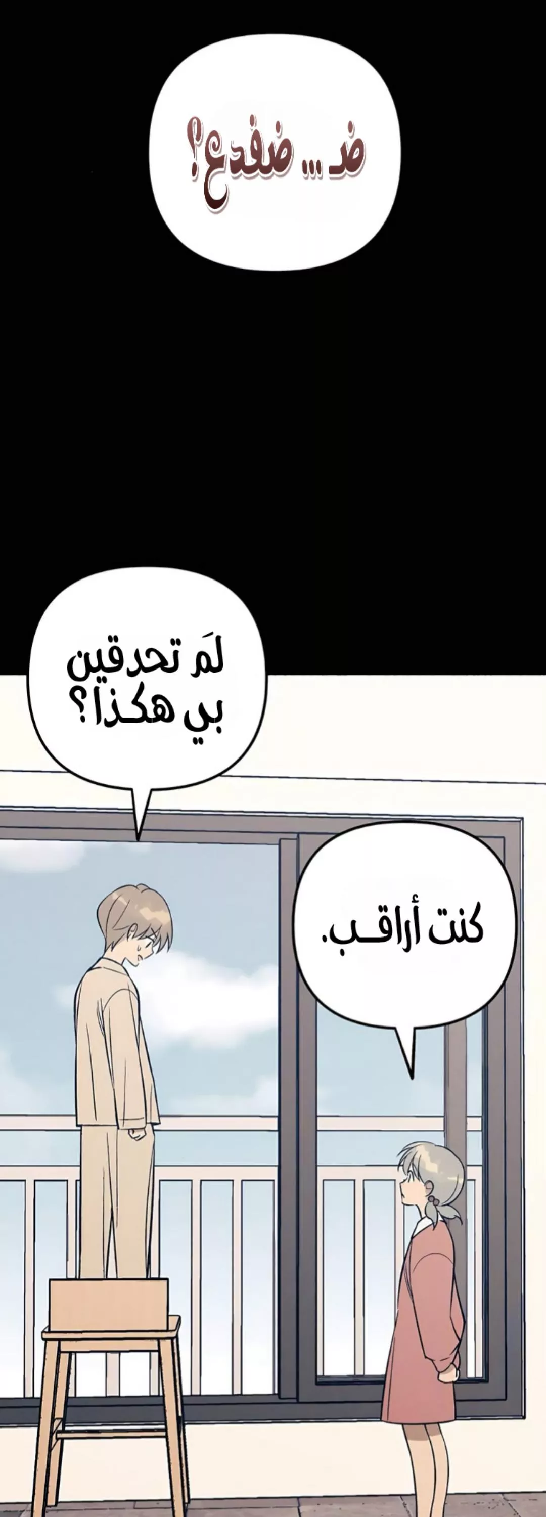 الصفحة 17