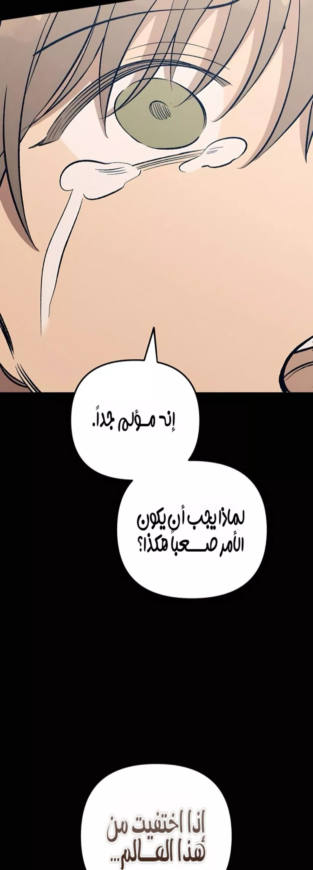 الصفحة 36
