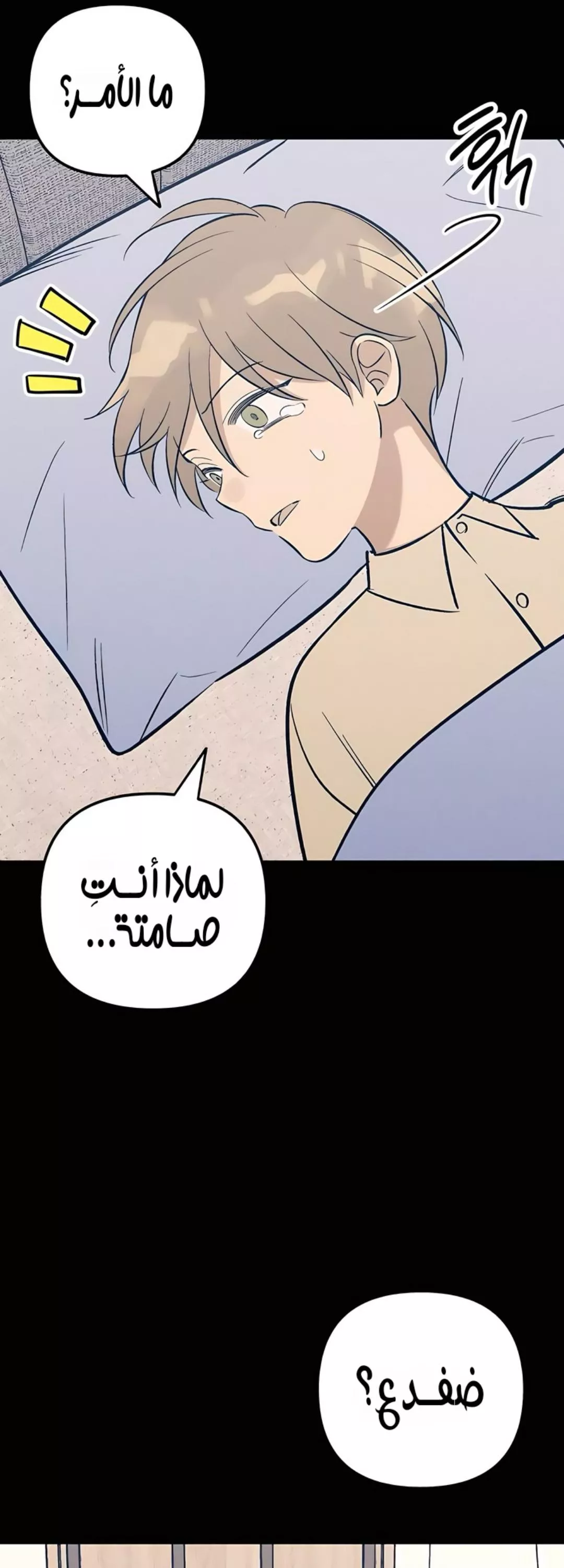 الصفحة 39