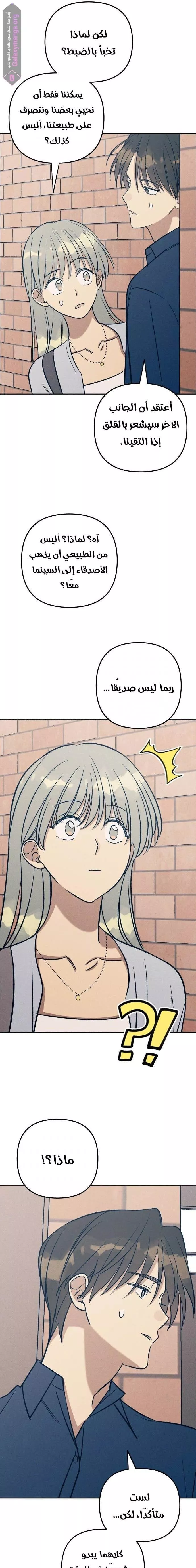 الصفحة 13