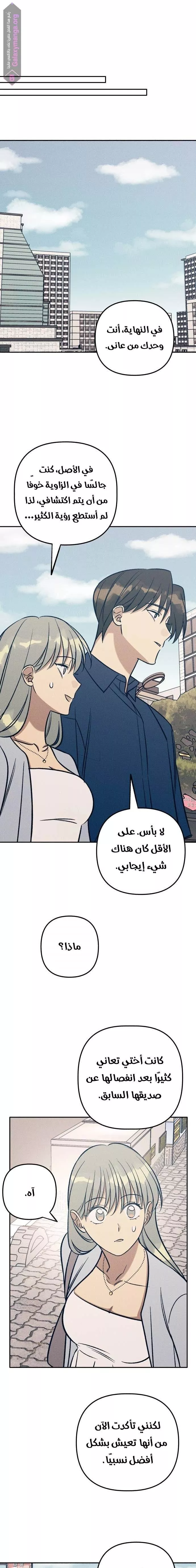 الصفحة 19