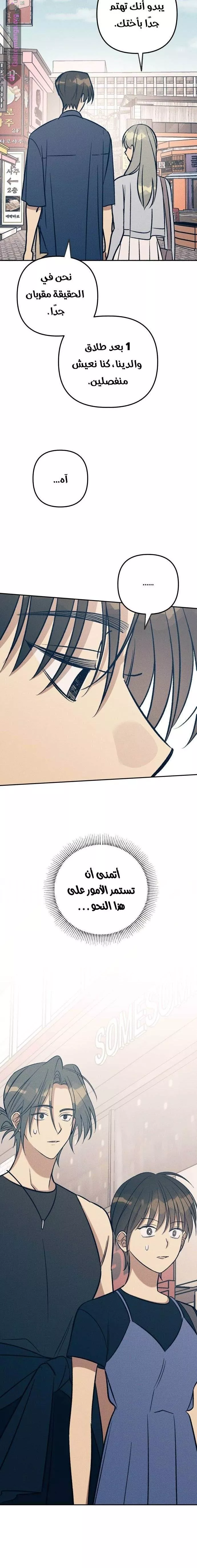 الصفحة 20