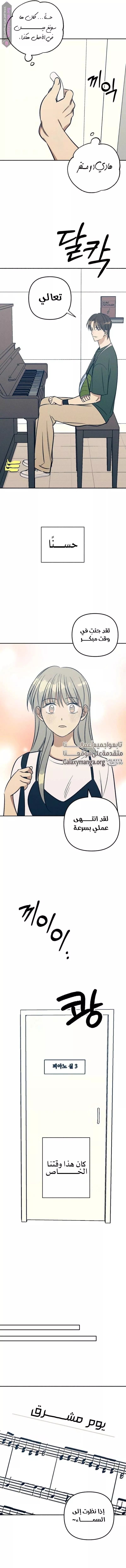 الصفحة 13