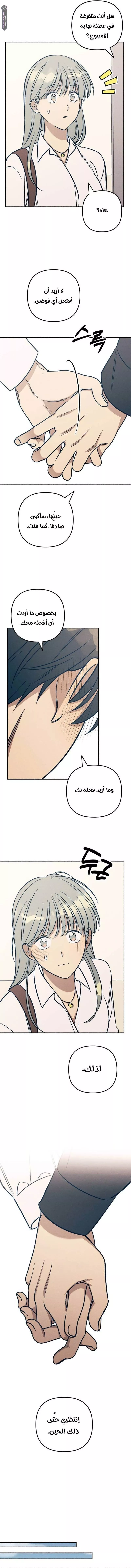 الصفحة 15