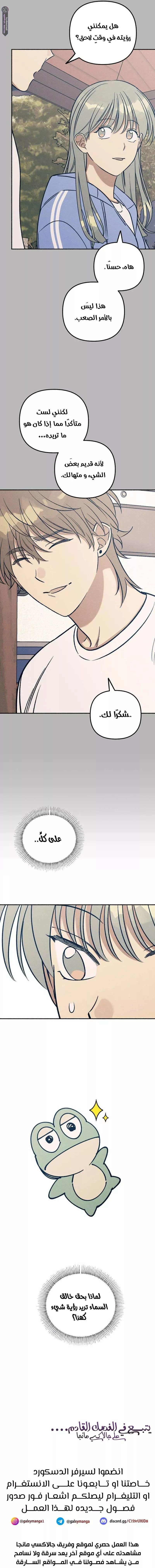 الصفحة 17
