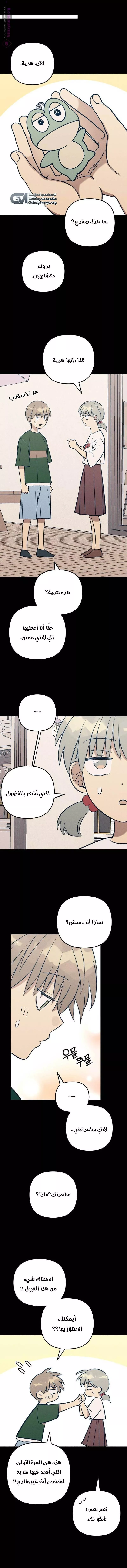 الصفحة 5