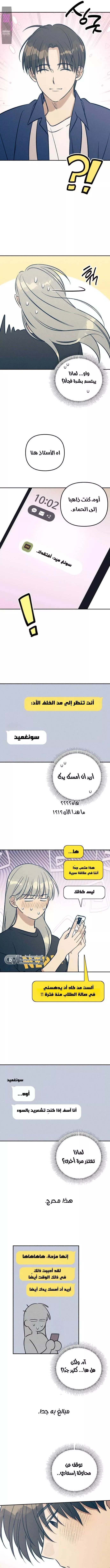 الصفحة 11