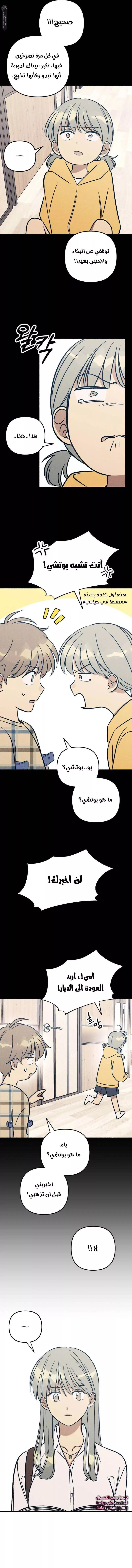 الصفحة 13