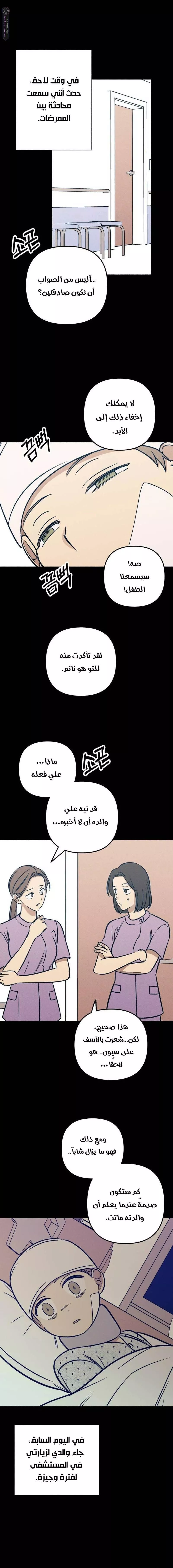 الصفحة 13
