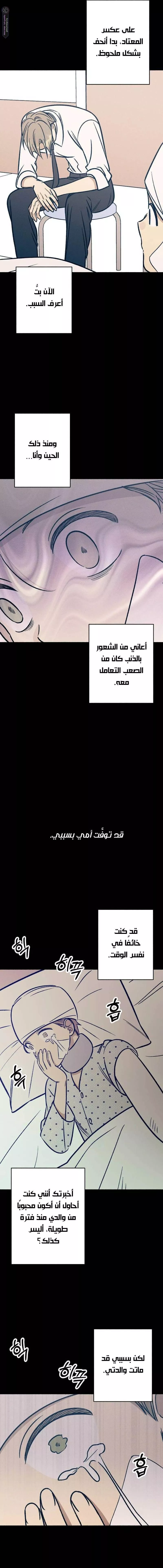 الصفحة 14