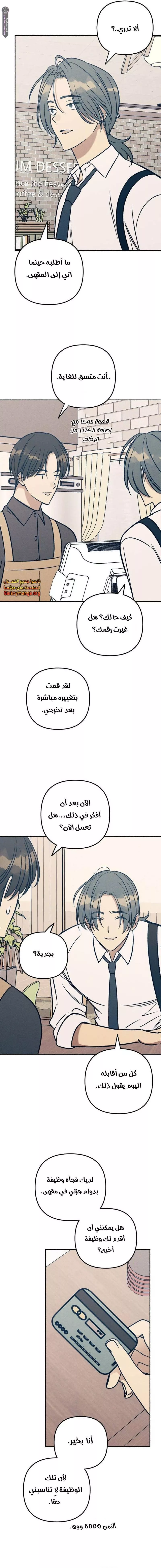 الصفحة 18