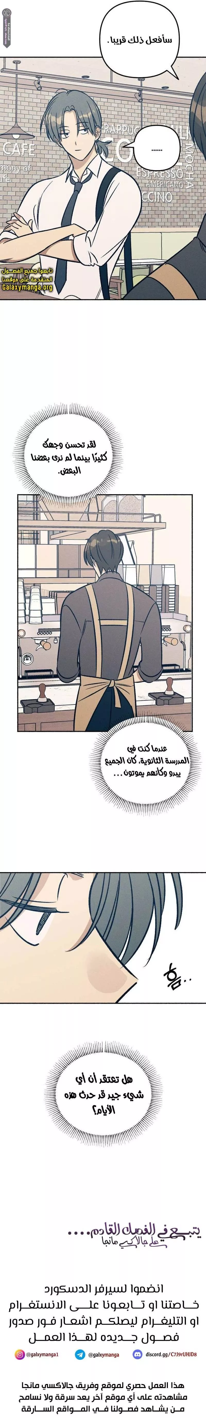 الصفحة 19