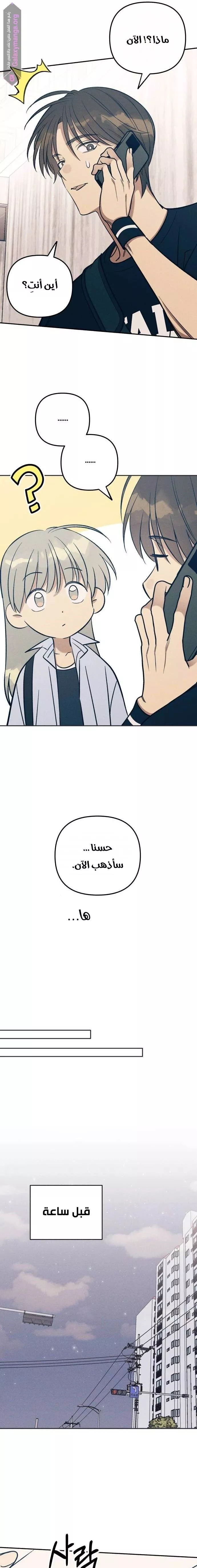 الصفحة 8