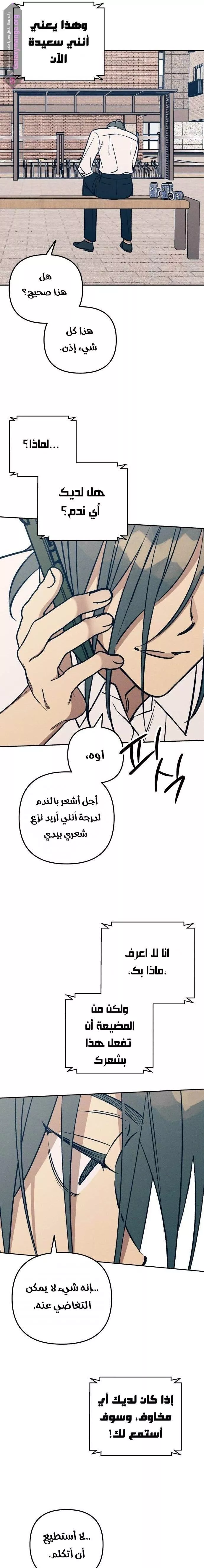 الصفحة 13
