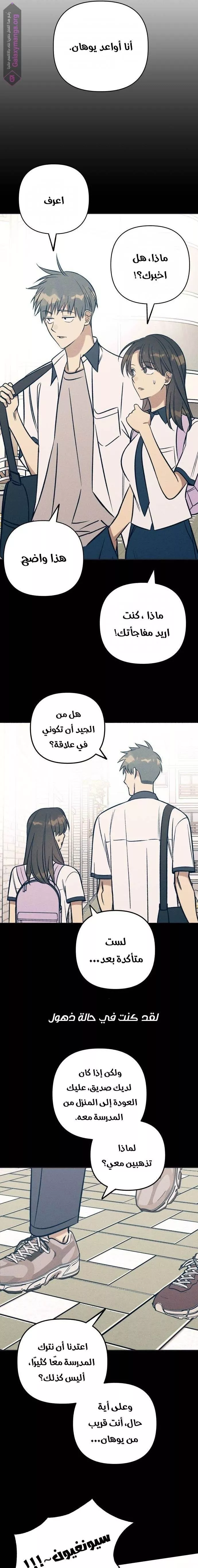 الصفحة 17