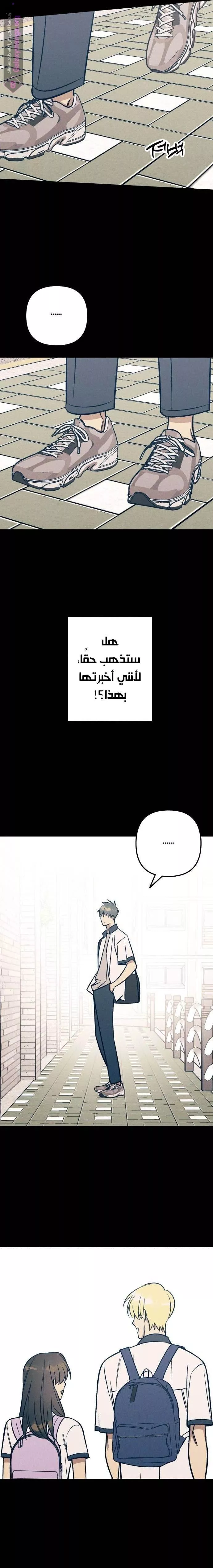 الصفحة 19