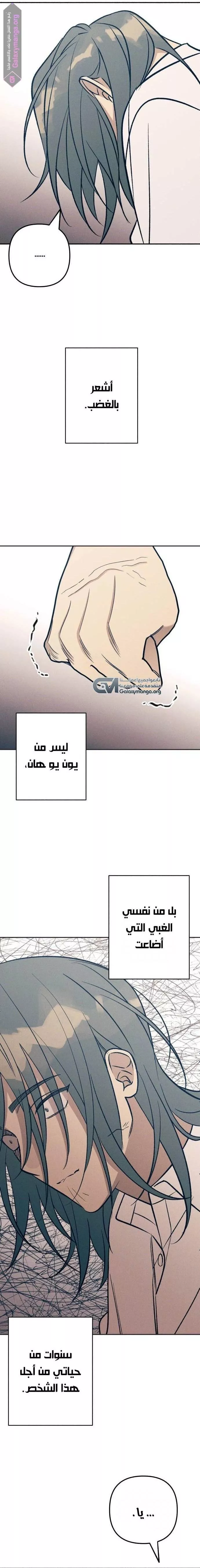 الصفحة 19