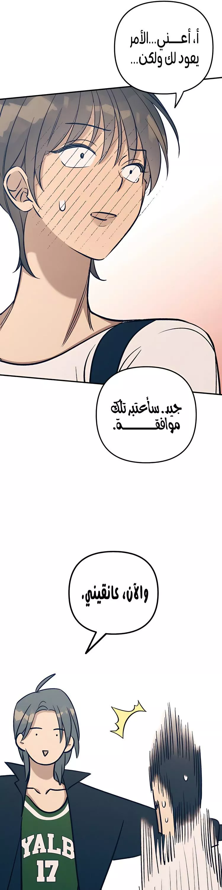 الصفحة 13