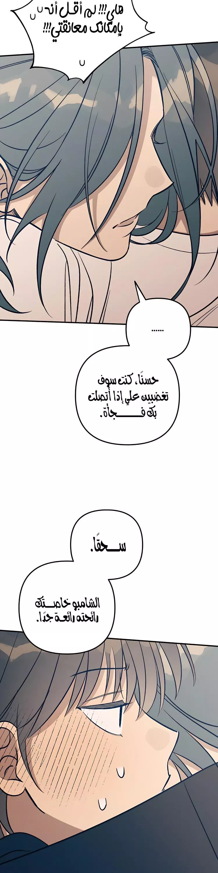 الصفحة 17