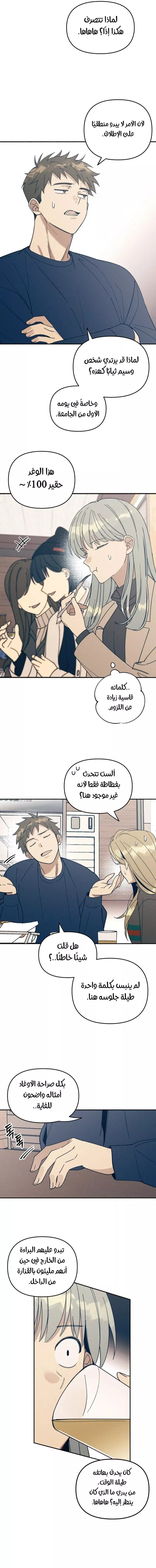 الصفحة 13