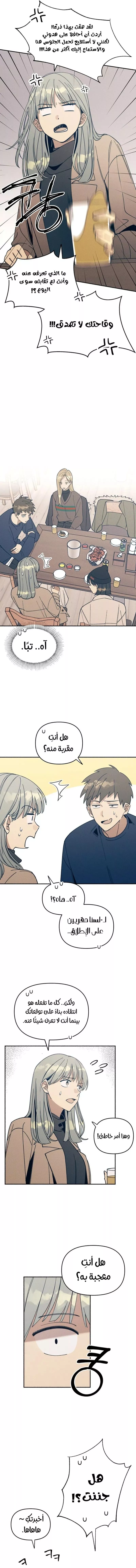 الصفحة 14
