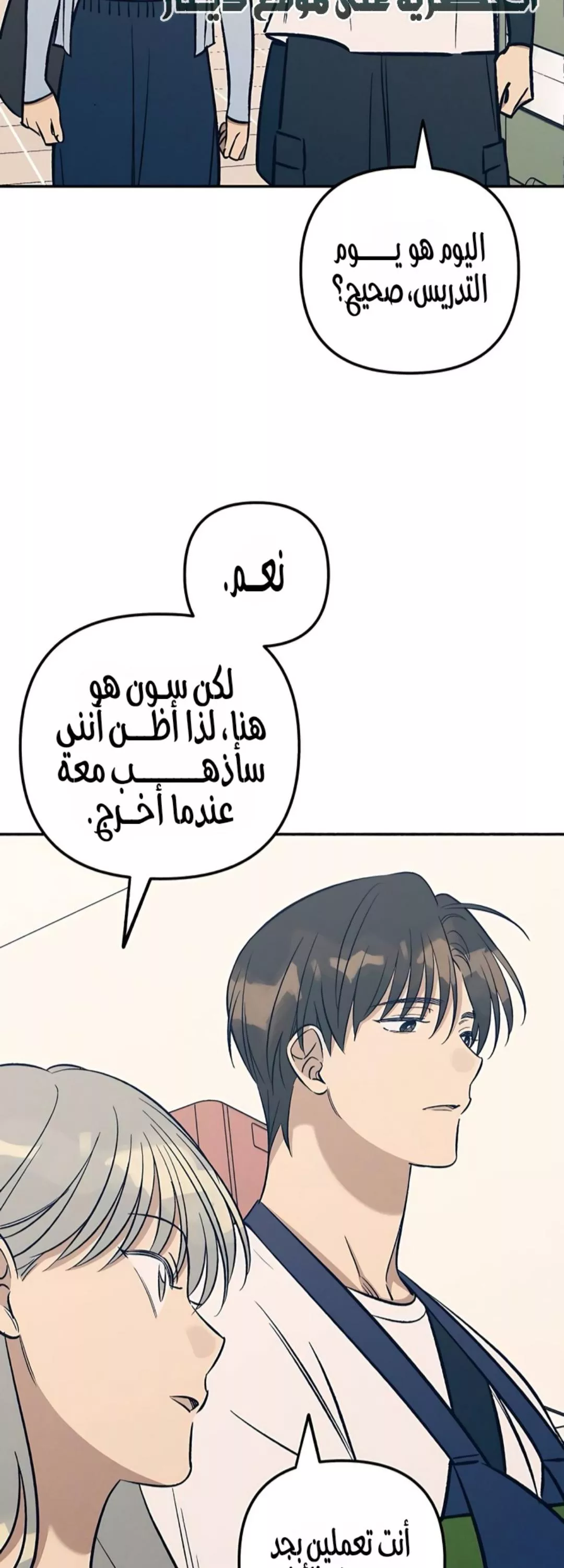 الصفحة 17