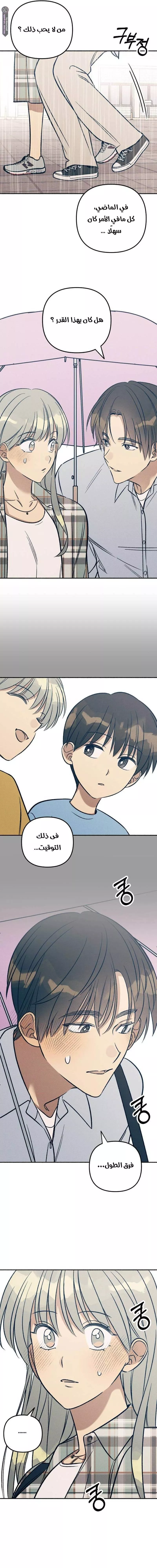 الصفحة 14