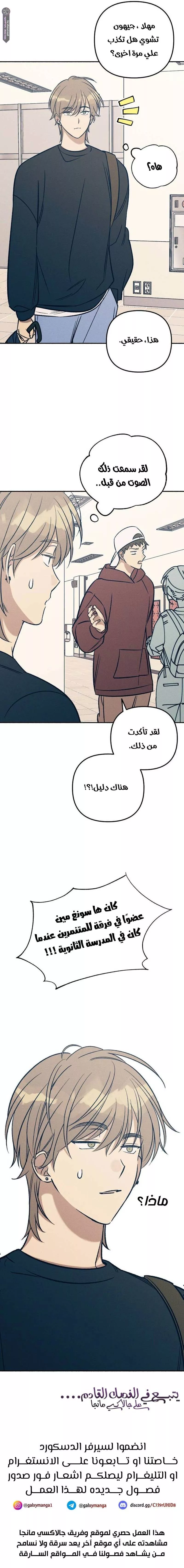 الصفحة 17